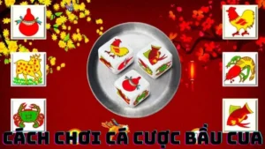 Cách Chơi Cá Cược Bầu Cua là Gì?